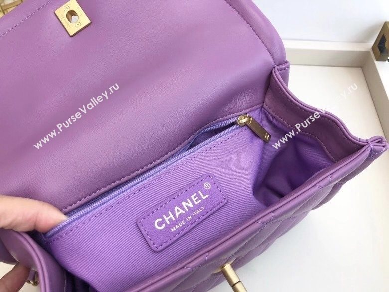 Chanel Quilted Lambskin Medium Flap Bag with Metal Button AS2055 Purple 2020 TOP (SMJD-20112317)