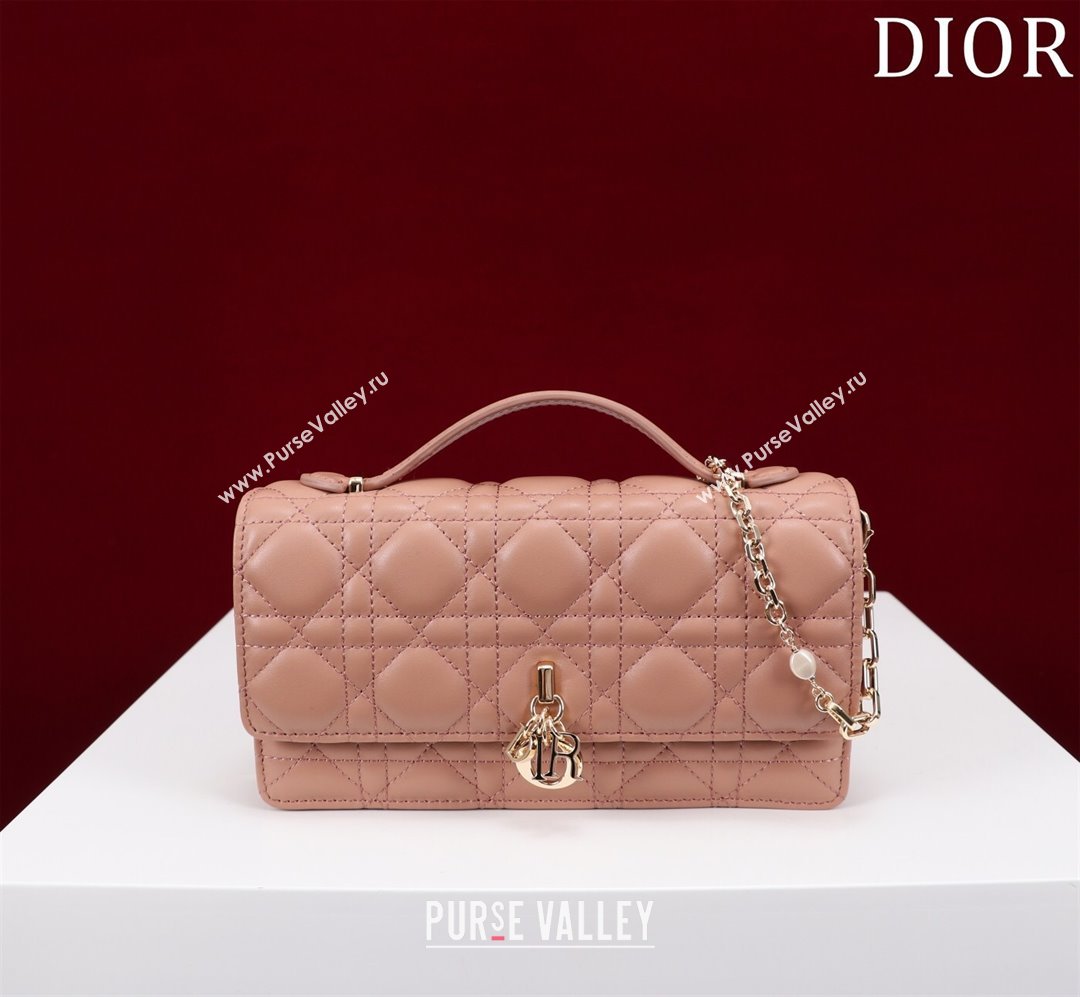 Dior My Dior Mini Bag in Rose des Vents Cannage Lambskin 0980 2024 (DMZ-24050712)