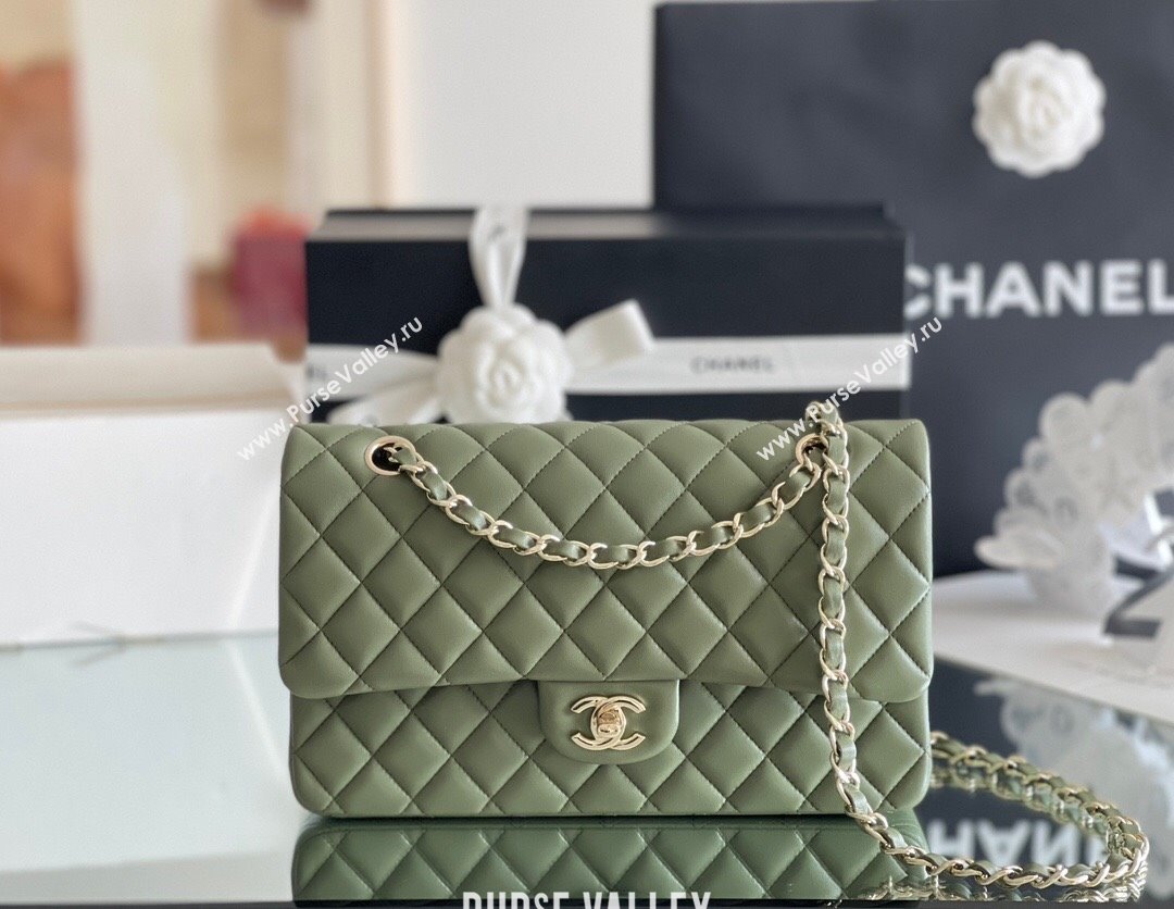 Chanel Quilted Lambskin Medium Classic Flap Bag A01112 Green/Light Gold 2024 Original Quality (MHE-24031410)