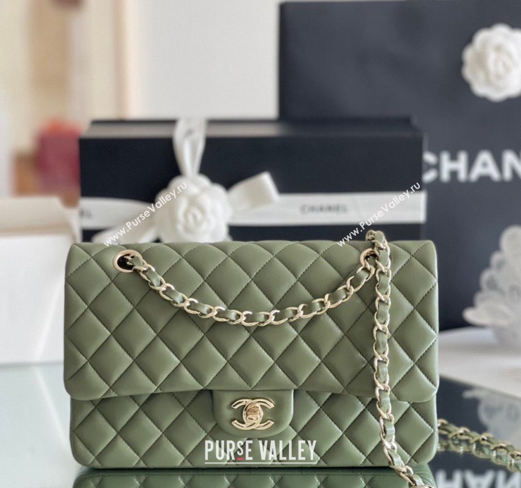 Chanel Quilted Lambskin Medium Classic Flap Bag A01112 Green/Light Gold 2024 Original Quality (MHE-24031410)