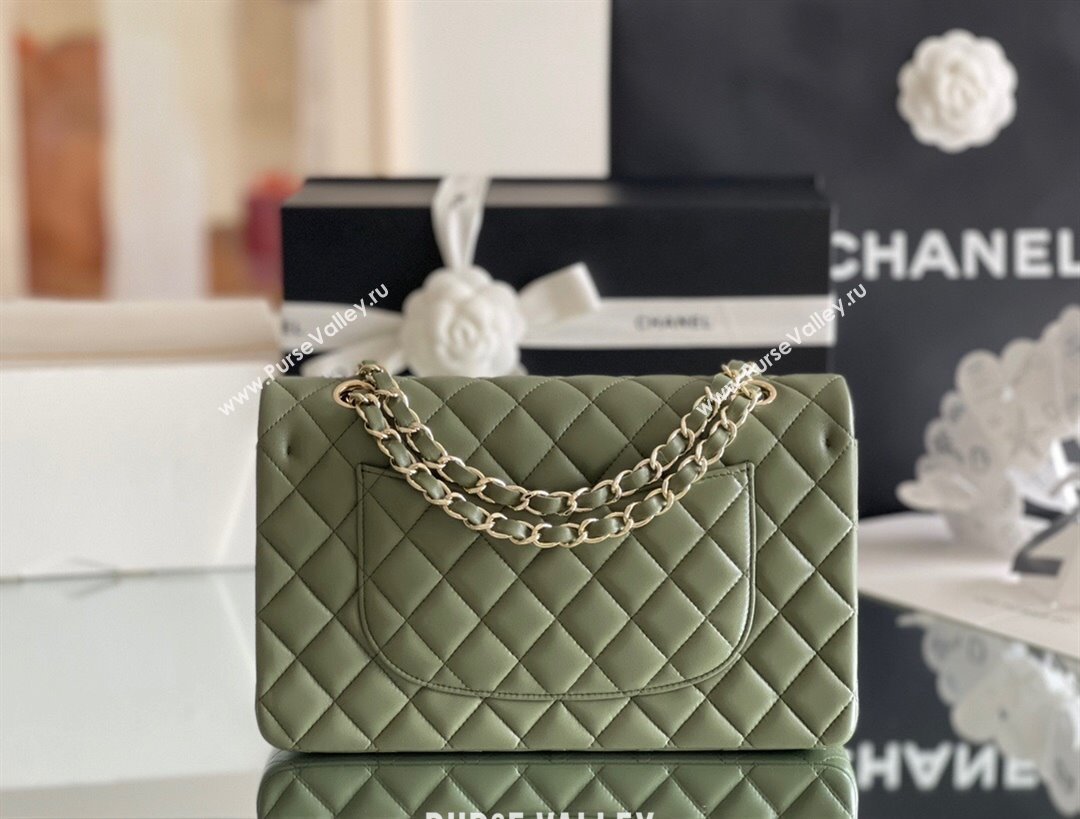 Chanel Quilted Lambskin Medium Classic Flap Bag A01112 Green/Light Gold 2024 Original Quality (MHE-24031410)