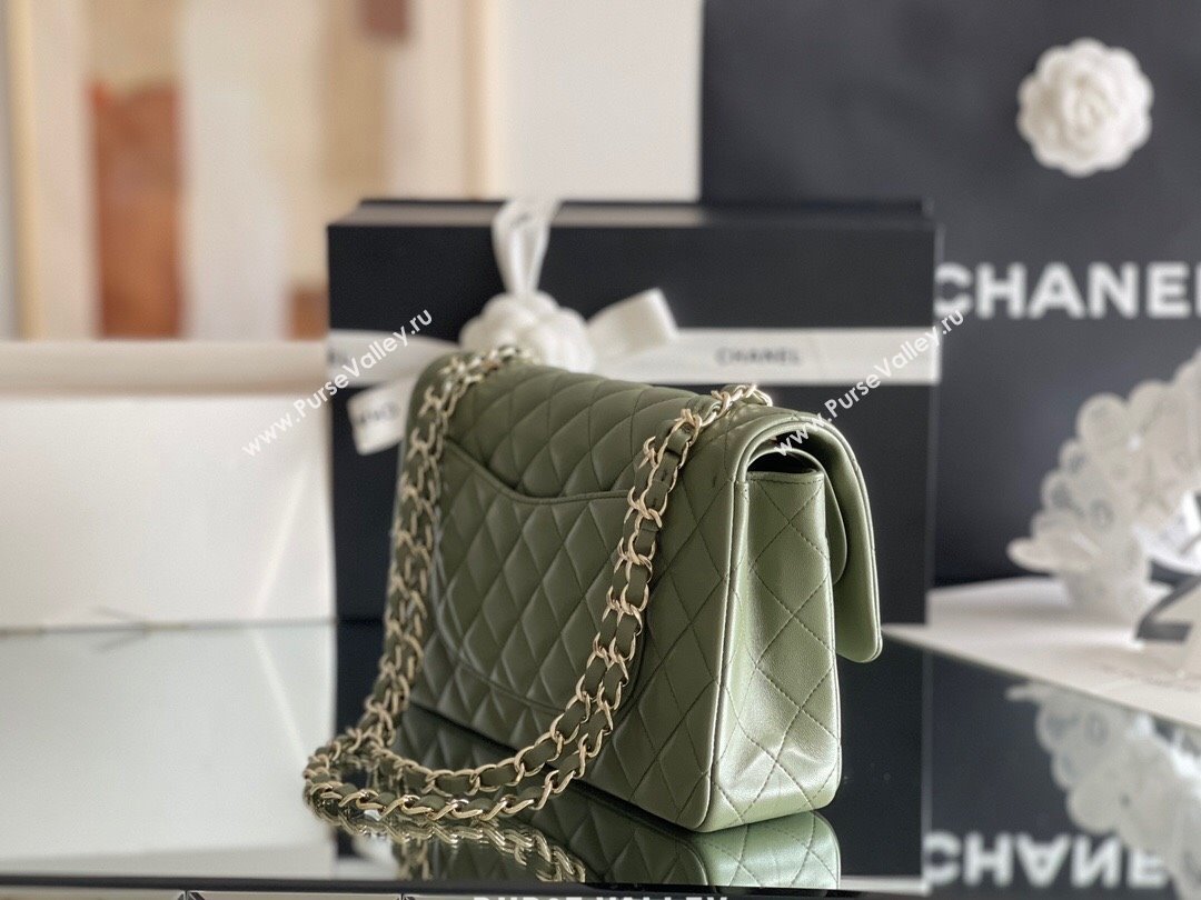 Chanel Quilted Lambskin Medium Classic Flap Bag A01112 Green/Light Gold 2024 Original Quality (MHE-24031410)