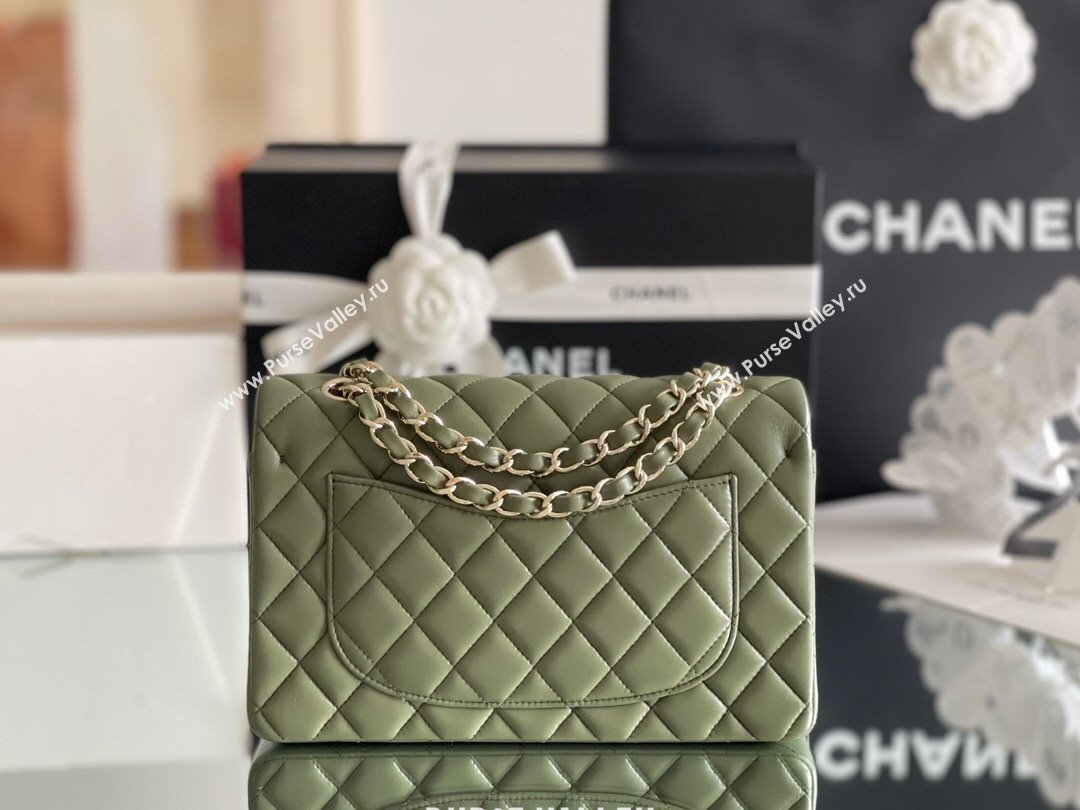 Chanel Quilted Lambskin Small Classic Flap Bag Green/Light Gold 2024 Original Quality (MHE-24031406)