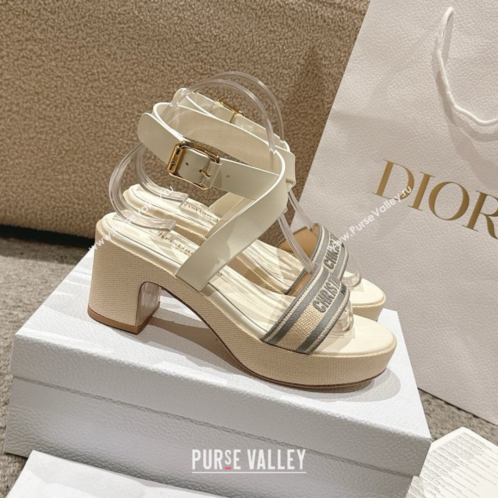 Dior Dway Heeled Sandals 7cm D22002 Grey 2025 (MD-25022013)