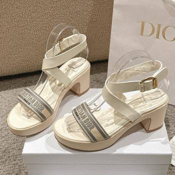 Dior Dway Heeled Sandals 7cm D22002 Grey 2025 (MD-25022013)