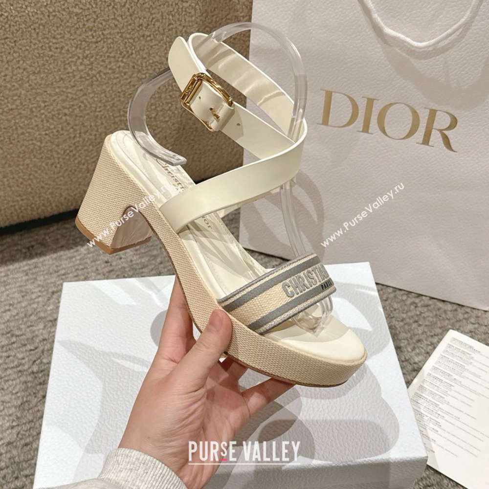 Dior Dway Heeled Sandals 7cm D22002 Grey 2025 (MD-25022013)