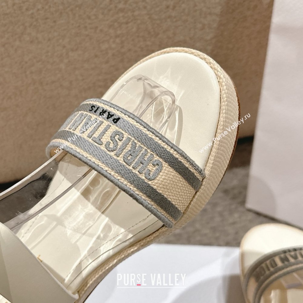 Dior Dway Heeled Sandals 7cm D22002 Grey 2025 (MD-25022013)