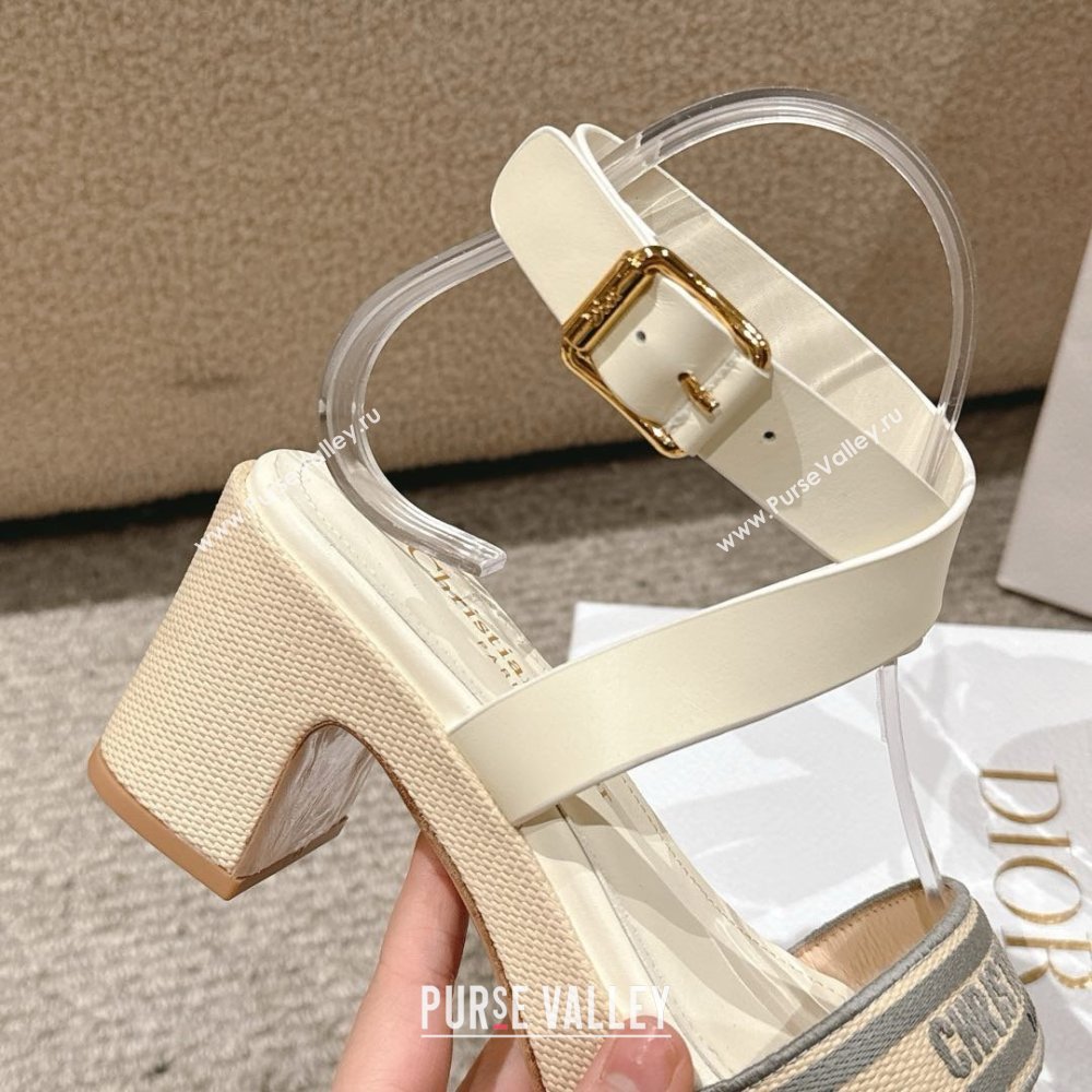 Dior Dway Heeled Sandals 7cm D22002 Grey 2025 (MD-25022013)