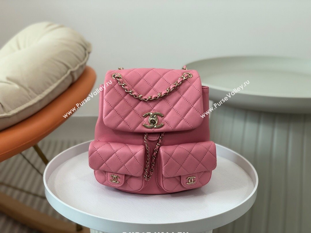 Chanel Lambskin Duma Backpack Bag S3860 Pink 2023 Top (SM-23112813)