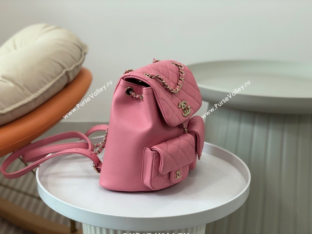 Chanel Lambskin Duma Backpack Bag S3860 Pink 2023 Top (SM-23112813)