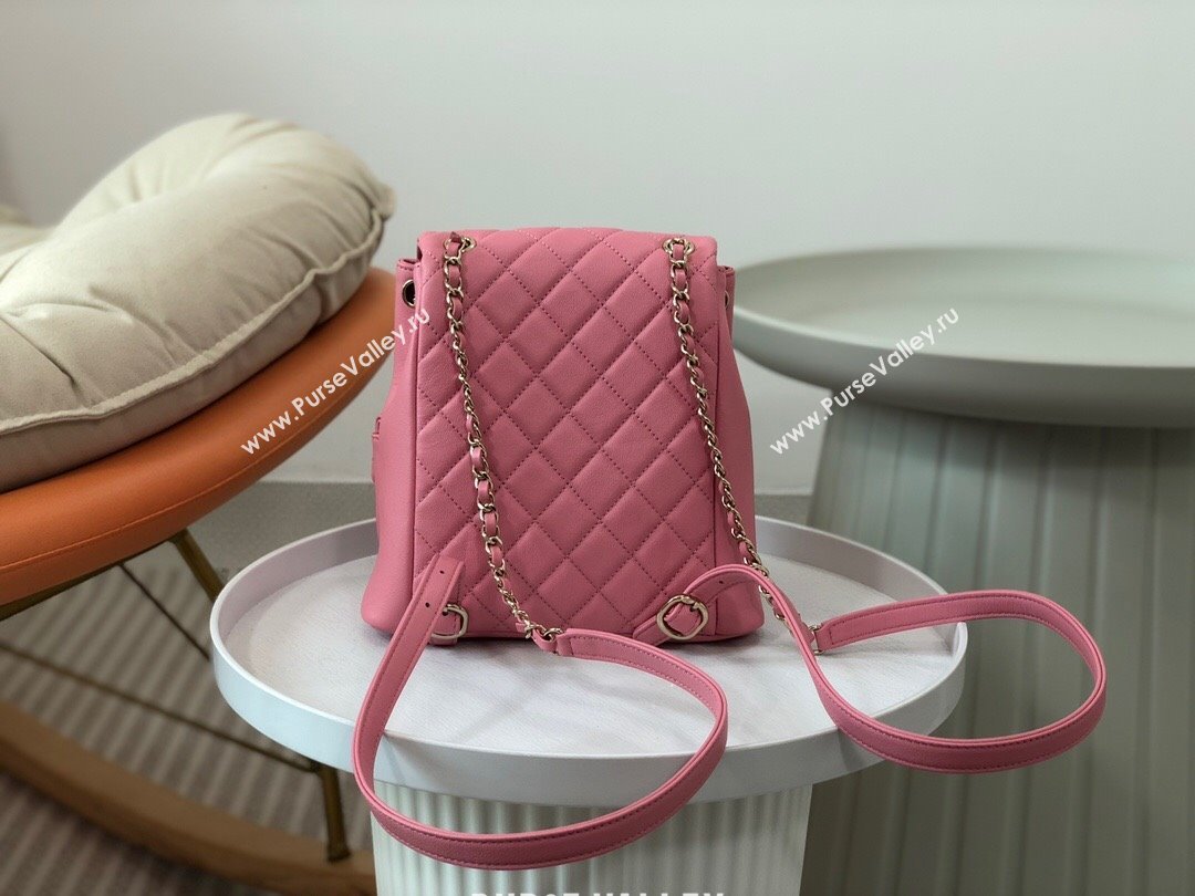 Chanel Lambskin Duma Backpack Bag S3860 Pink 2023 Top (SM-23112813)