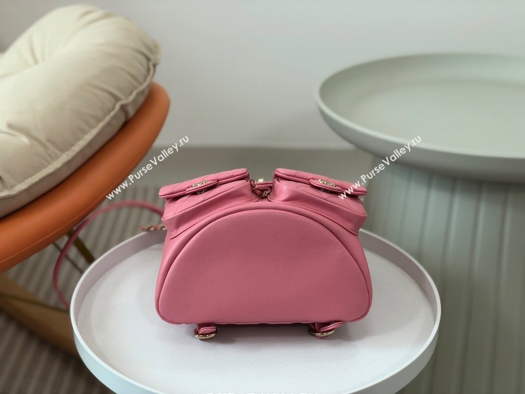 Chanel Lambskin Duma Backpack Bag S3860 Pink 2023 Top (SM-23112813)