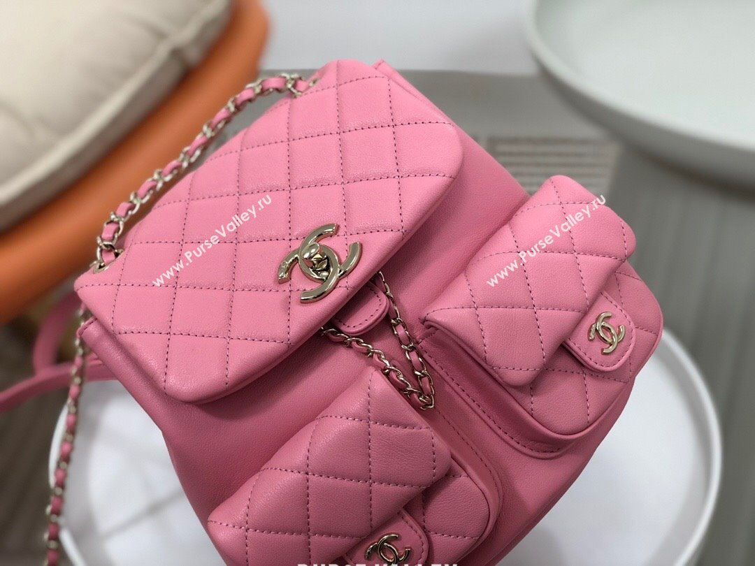 Chanel Lambskin Duma Backpack Bag S3860 Pink 2023 Top (SM-23112813)