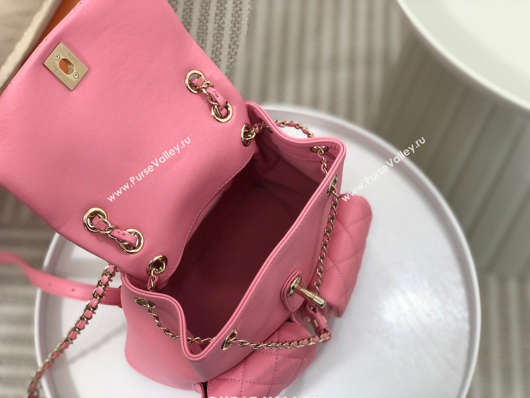 Chanel Lambskin Duma Backpack Bag S3860 Pink 2023 Top (SM-23112813)