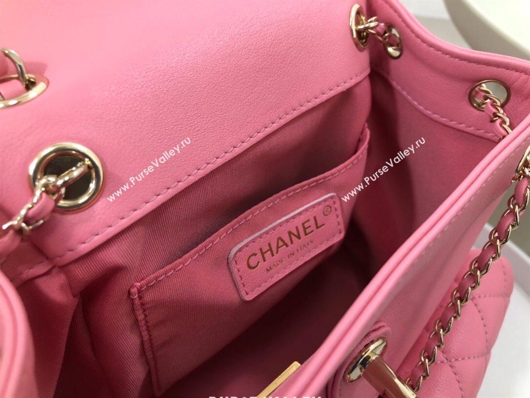 Chanel Lambskin Duma Backpack Bag S3860 Pink 2023 Top (SM-23112813)