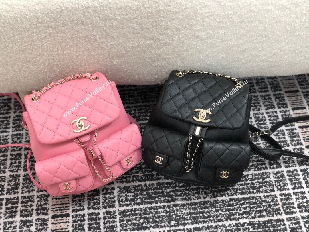 Chanel Lambskin Duma Backpack Bag S3860 Pink 2023 Top (SM-23112813)