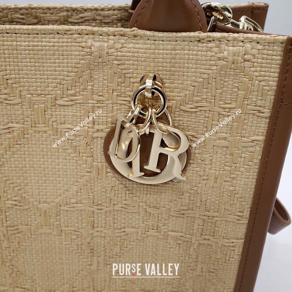 Dior Small Book Tote Bag Bag in Beige Cannage Raffia 2024 (DMZ-24062815)