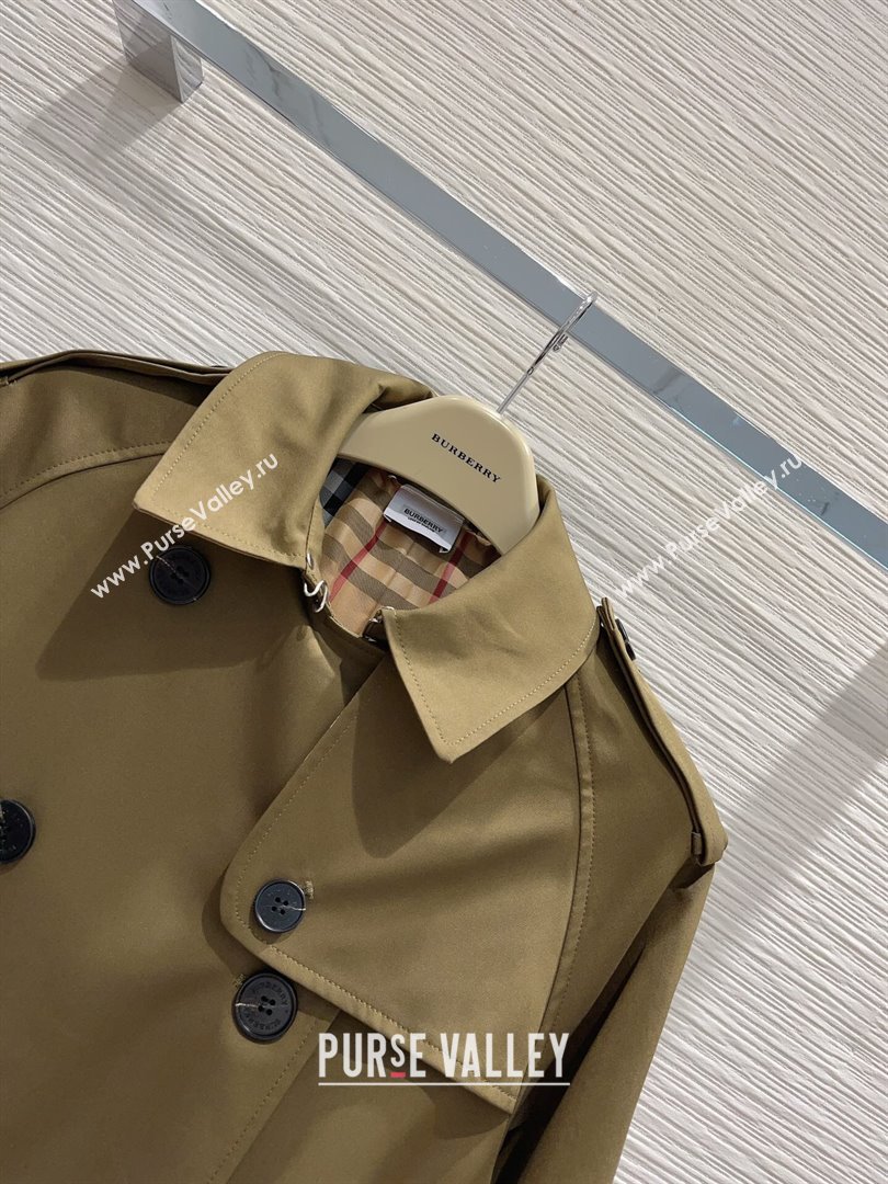 Burberry Trench Coat B9911 2023 (Q-239901)