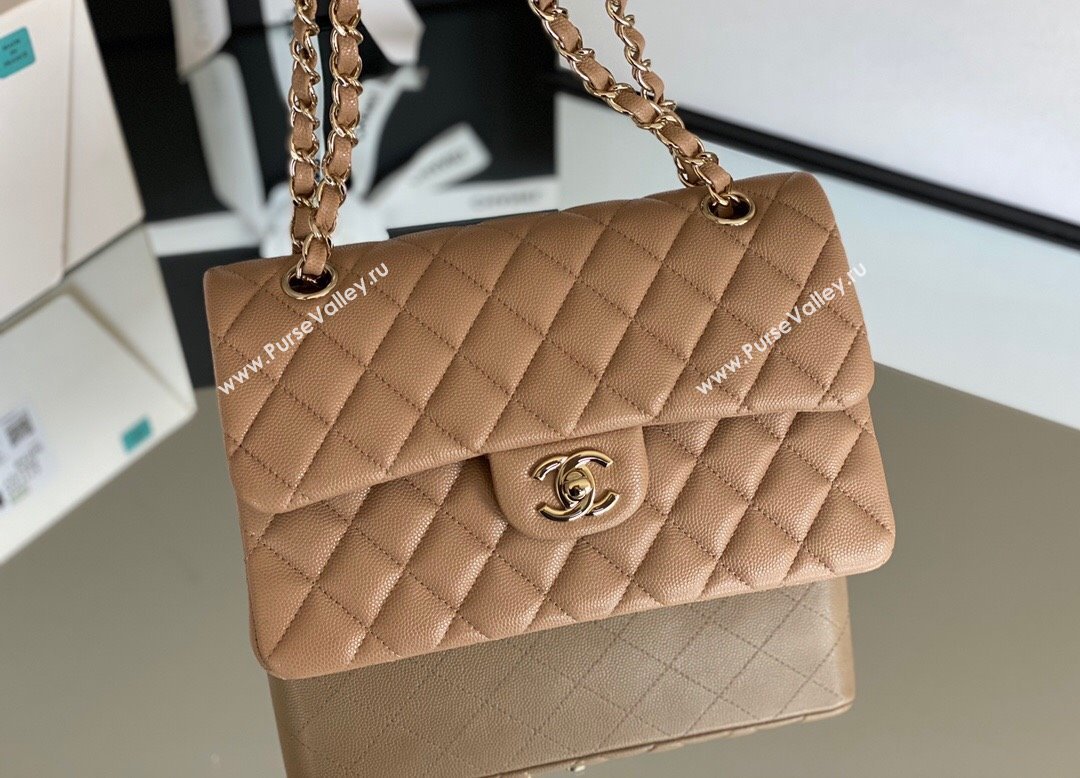 Chanel Haas Grained Calfskin Small Classic Flap Bag A01113 Apricot/Light Gold 2021(Original Quality) (M-210929054)