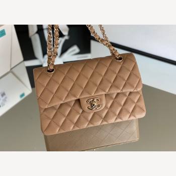 Chanel Haas Grained Calfskin Small Classic Flap Bag A01113 Apricot/Light Gold 2021(Original Quality) (M-210929054)