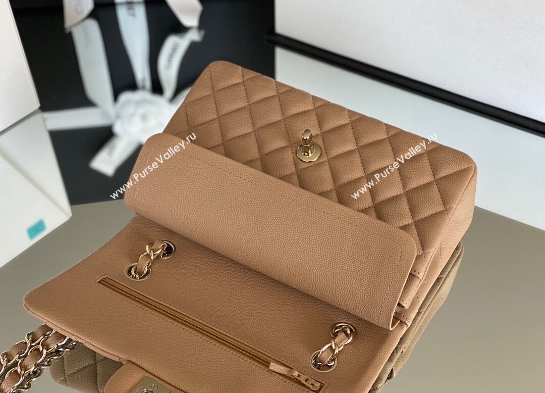 Chanel Haas Grained Calfskin Small Classic Flap Bag A01113 Apricot/Light Gold 2021(Original Quality) (M-210929054)