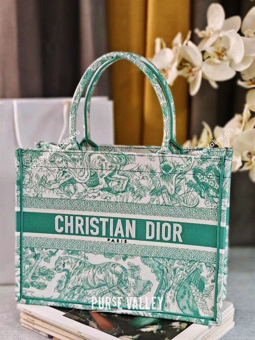 Dior Medium Book Tote Bag Bag in Aquamarina Toile de Jouy Embroidery 2024 (DMZ-24062820)