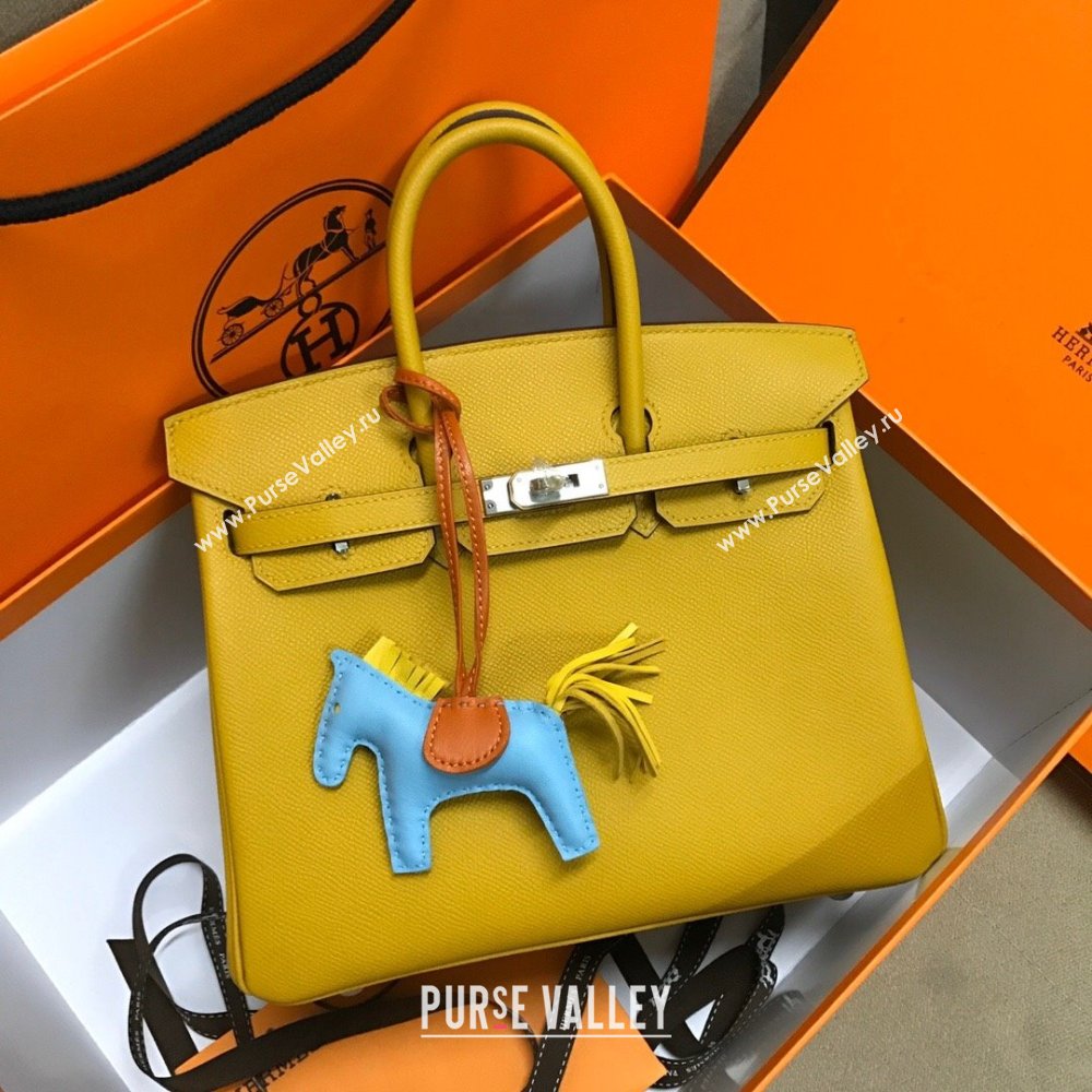 Hermes Birkin 25cm/30cm/35cm Bag in Original Epsom Leather Amber Yellow/Silver 2024 (Full Handmade) (XYA-24070103)