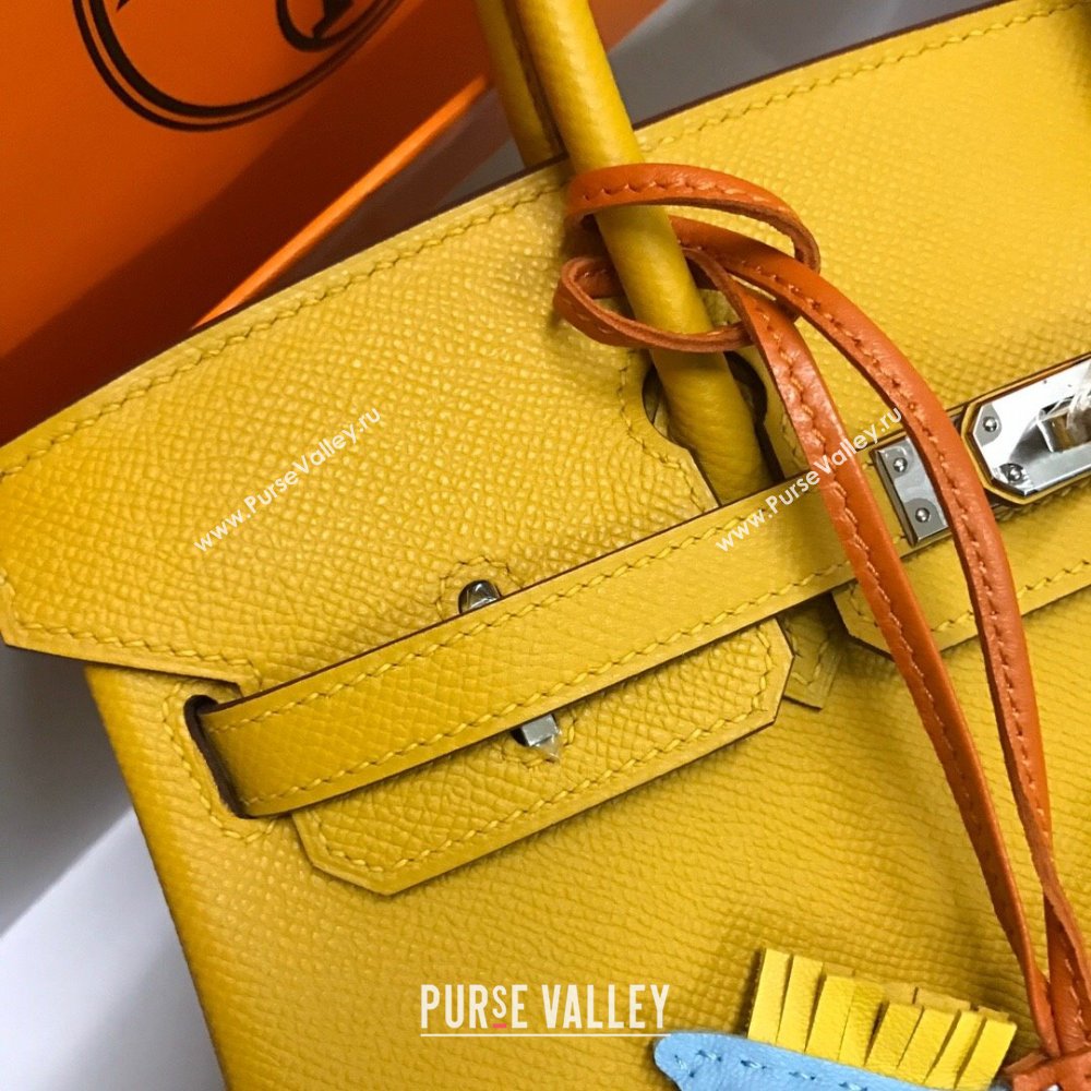 Hermes Birkin 25cm/30cm/35cm Bag in Original Epsom Leather Amber Yellow/Silver 2024 (Full Handmade) (XYA-24070103)