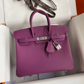 Hermes Birkin 25cm/30cm/35cm Bag in Original Epsom Leather Anemones Purple/Gold 2024 (Full Handmade) (XYA-24062901)