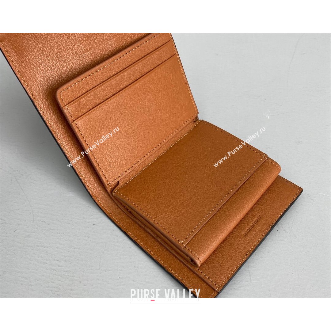 Celine Triomphe Small Wallet Brown 2021 60031 (NM-21080511)