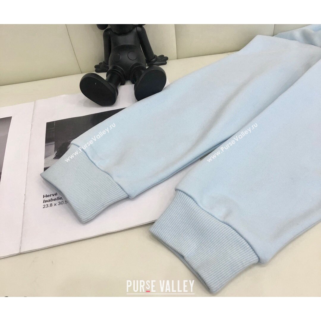 Gucci Cat Sweatshirt Light Blue 2021 (Q-21082629)