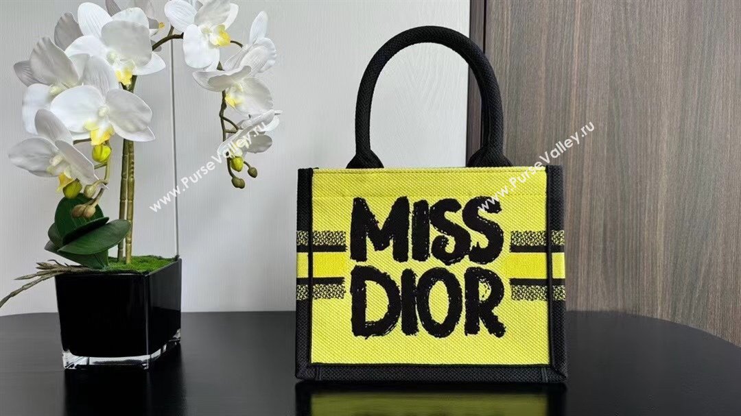 Dior Small Book Tote bag in Two-Tone Green and Blue Miss Dior Graffiti 1286 2024 (DMZ-24082317)