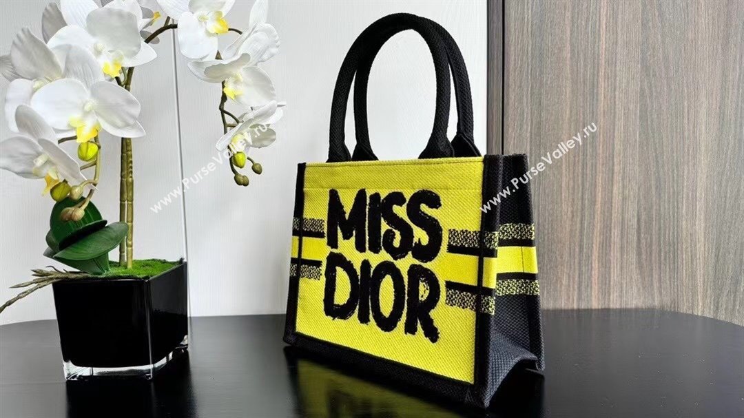 Dior Small Book Tote bag in Two-Tone Green and Blue Miss Dior Graffiti 1286 2024 (DMZ-24082317)