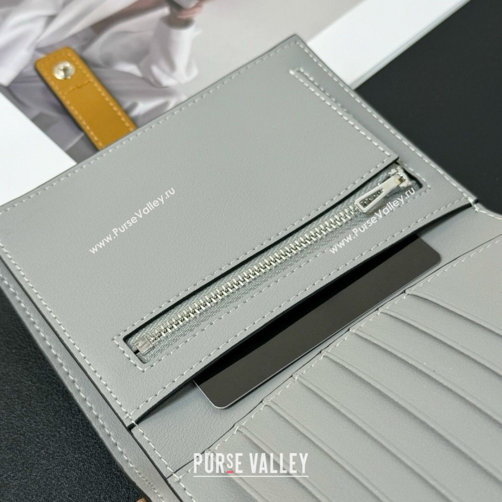 Loewe Bifold Wallet in Grained Calfskin Grey 2024 (HY-24032117)