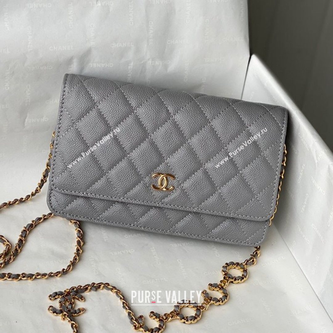 Chanel Grained Calfskin Wallet on COCO Chain WOC AP2298 Gray 2021 (SM-21082723)