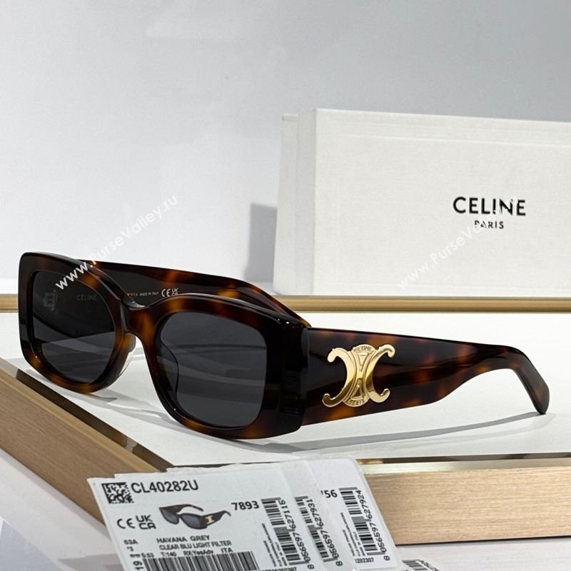 Celine Sunglasses 5 2025 CL40282U (SHI-250909018)