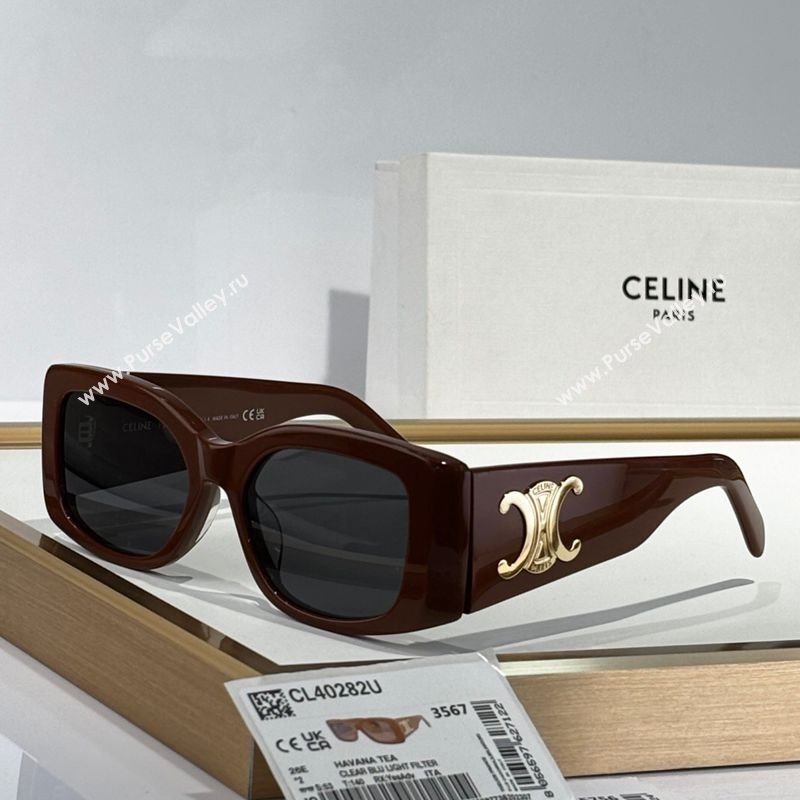 Celine Sunglasses 6 2025 CL40282U (SHI-250909019)