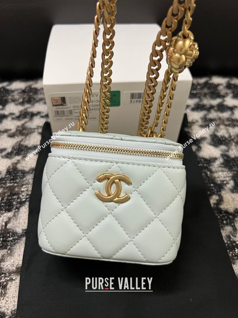 Chanel Lambskin Mini Vanity Case with Camellia Chain Light Blue 2024 (YEZI-24032216)