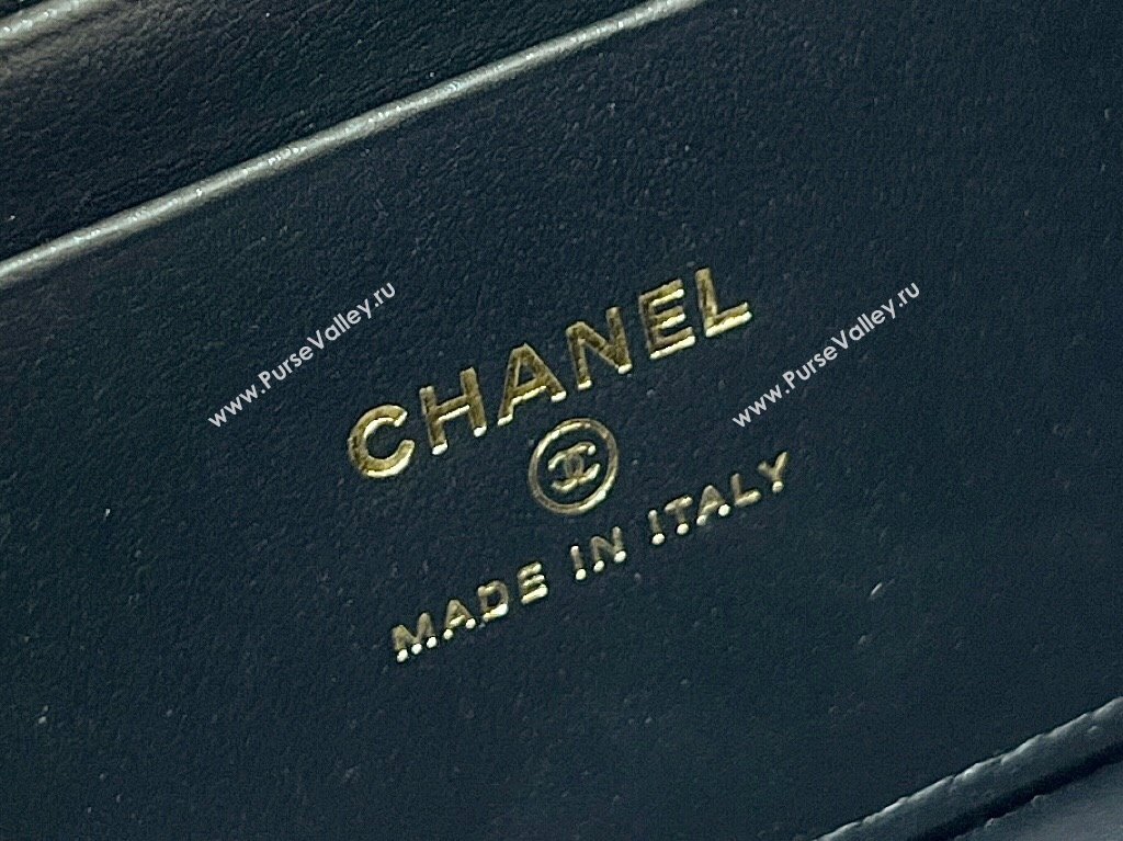 Chanel Grained Calfskin Long Vanity Case bag with Chain AP4407 Black CRUISE 2024/25 (SHUNY-24121816)