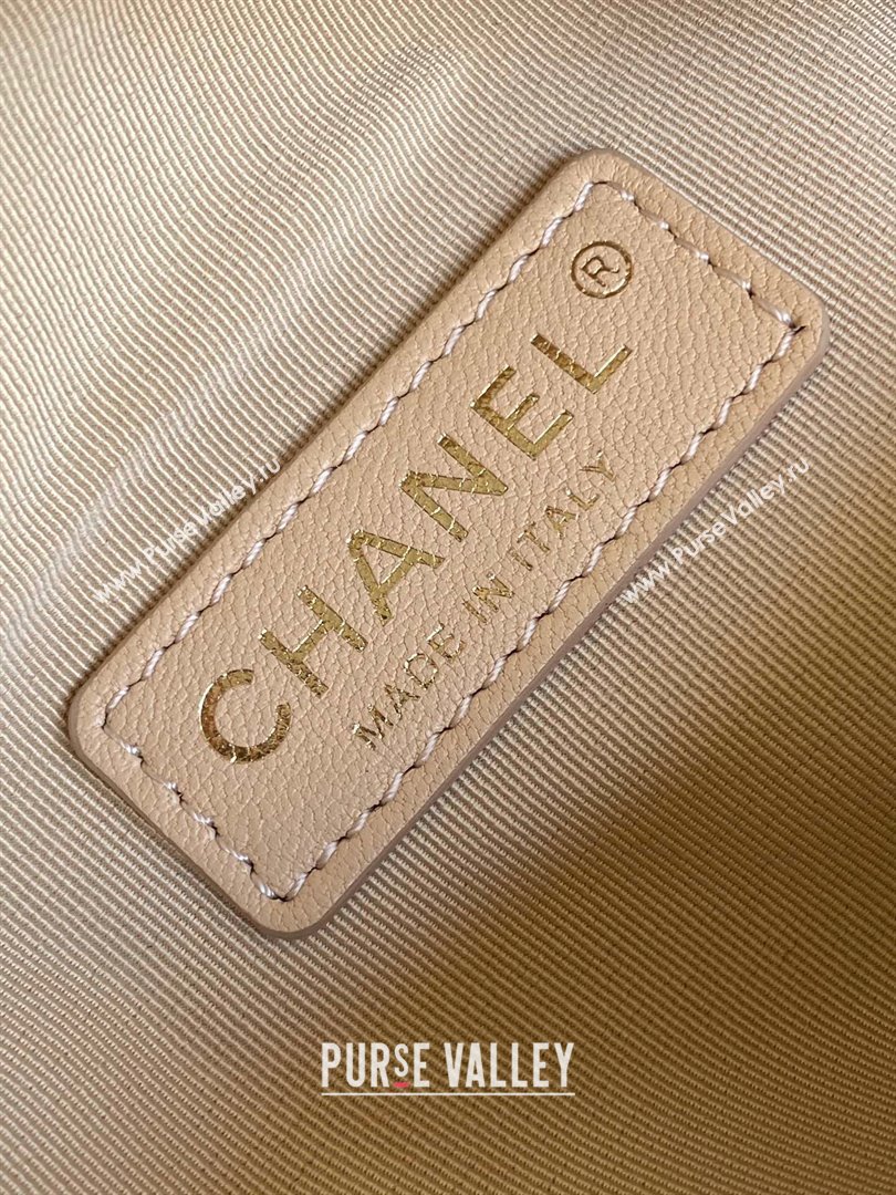 Chanel Small Camera Case Bag in Shiny Crumpled Lambskin AS5220 Beige 2024 (YEZI-24101607 )