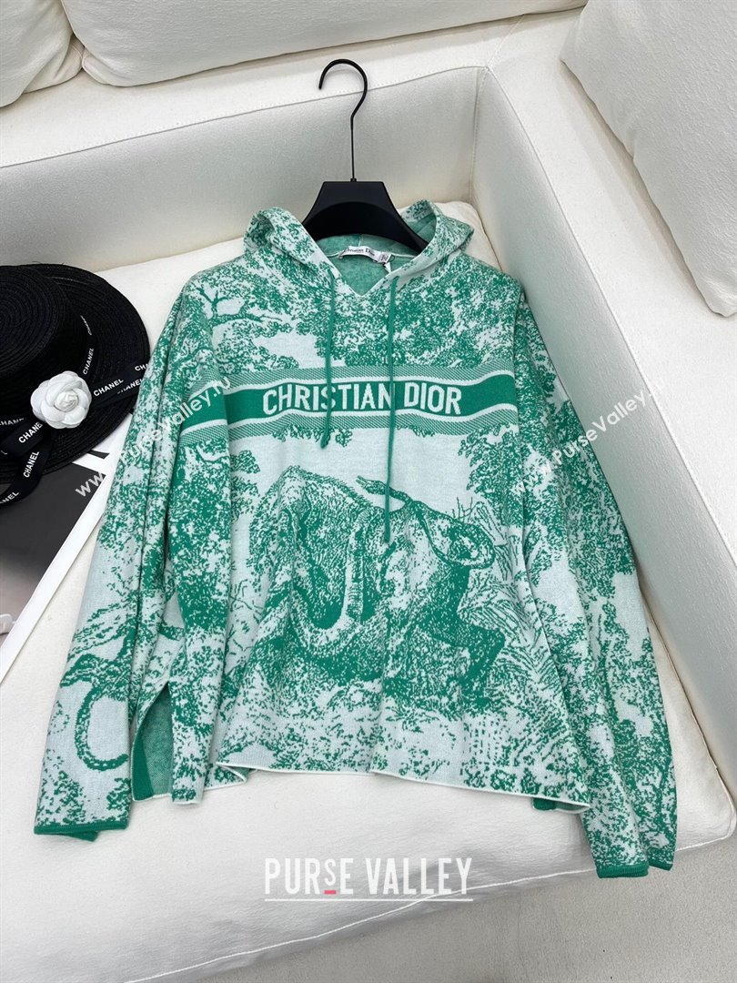 Dior Knit Sweater and Shorts D71013 Green 2024 (Q-24071013)