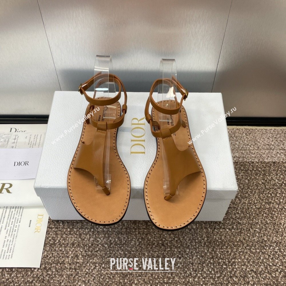 Dior Dioriviera Dior Sun Thong Sandal in Brown Calfskin 2024 (SS-24071705)