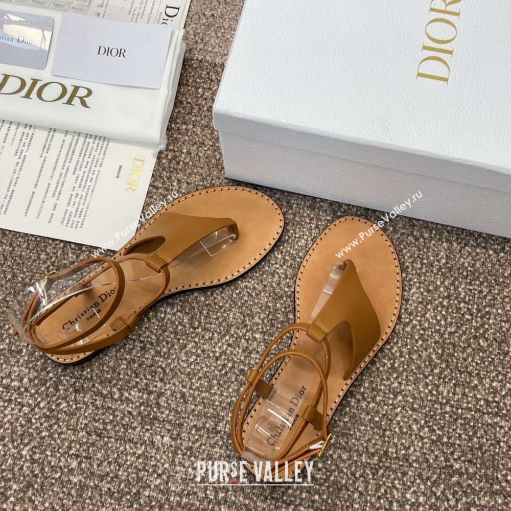 Dior Dioriviera Dior Sun Thong Sandal in Brown Calfskin 2024 (SS-24071705)