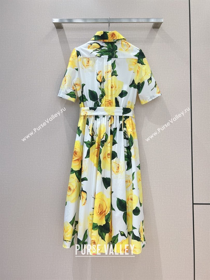 Dolce Gabbana Dress DG051740 Yellow 2024 (Q-24051740)