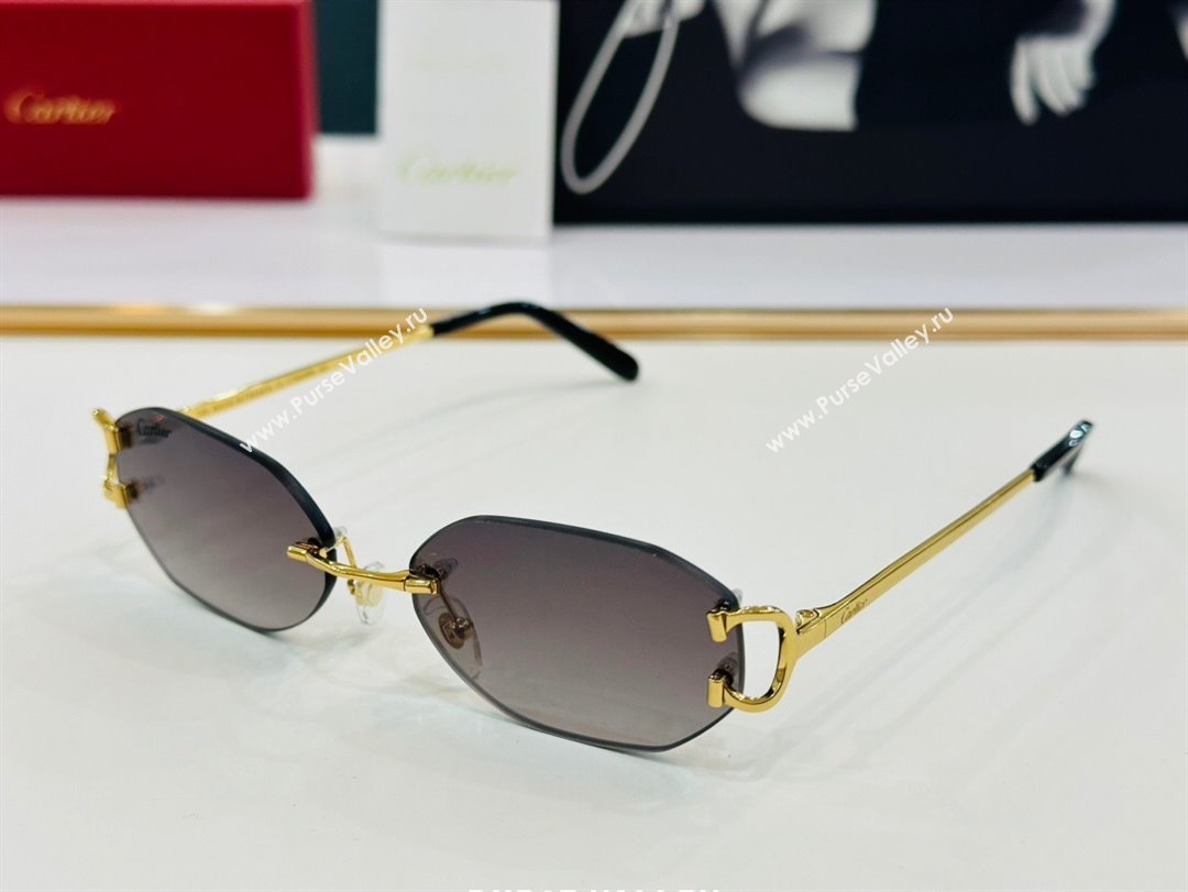 Cartier Sunglasses CT0029 37 2024 Top (A-24101737)