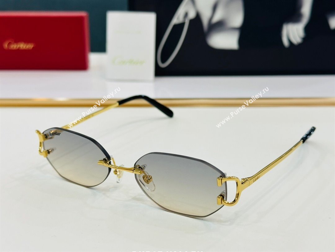 Cartier Sunglasses CT0029 41 2024 Top (A-24101741)