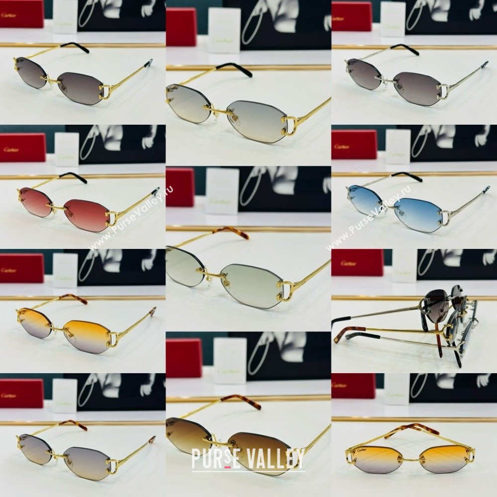 Cartier Sunglasses CT0029 37 2024 Top (A-24101737)