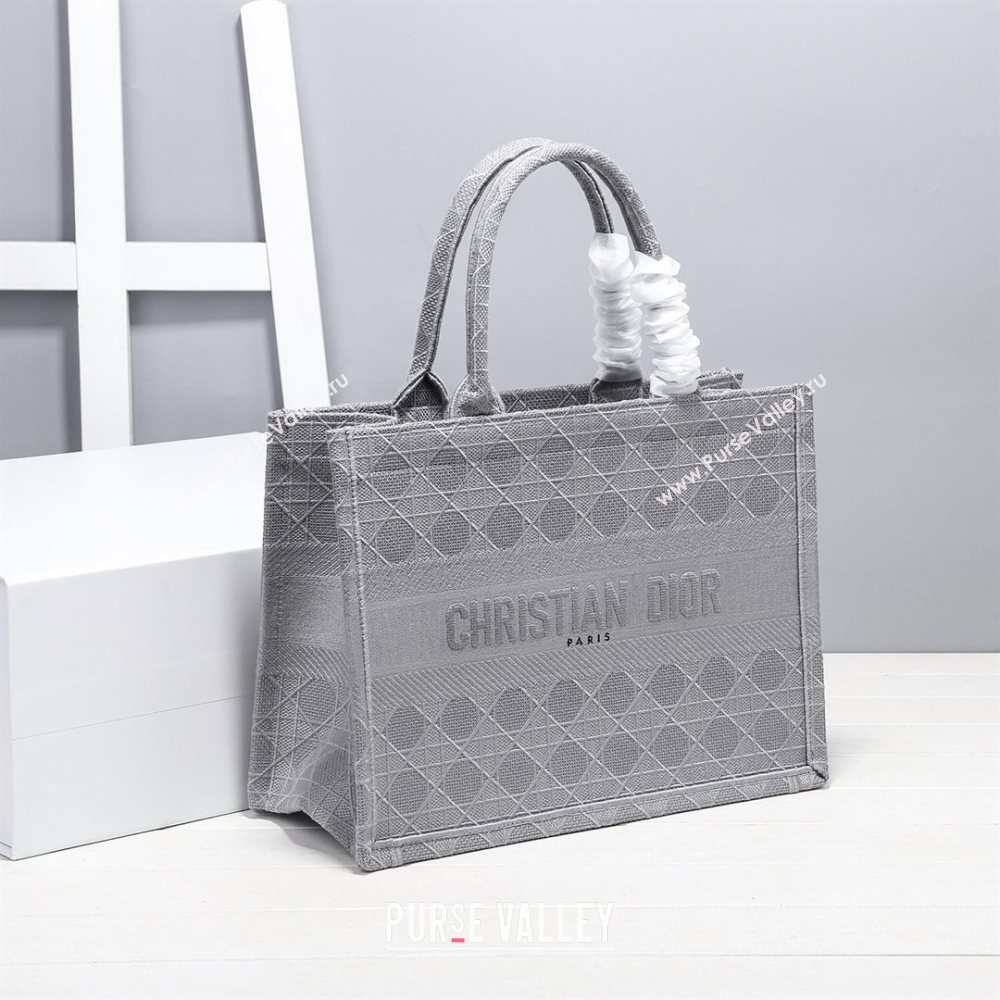 Dior Small Book Tote Bag in Grey Cannage Embroidery 2020 (XXG-20112632)