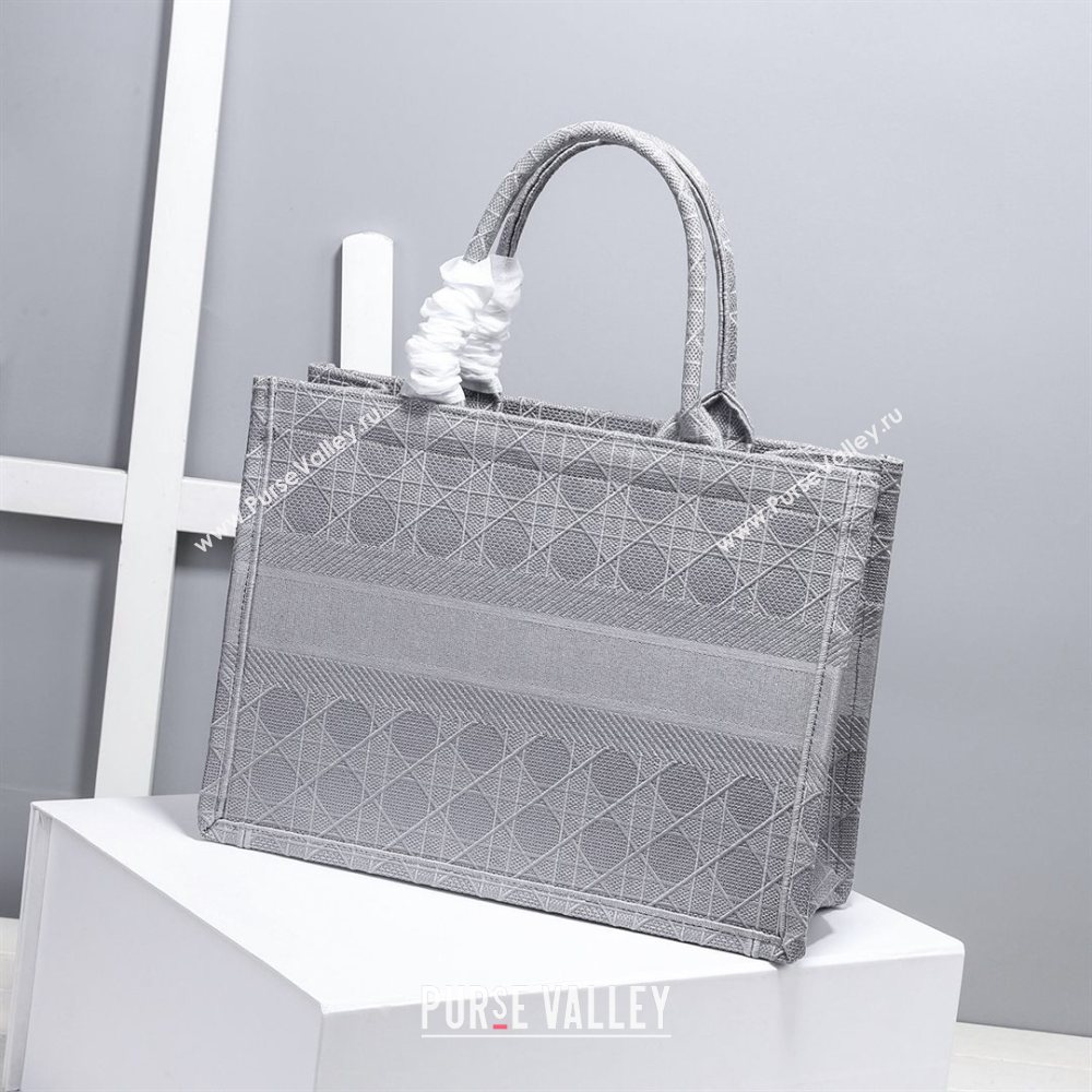Dior Small Book Tote Bag in Grey Cannage Embroidery 2020 (XXG-20112632)