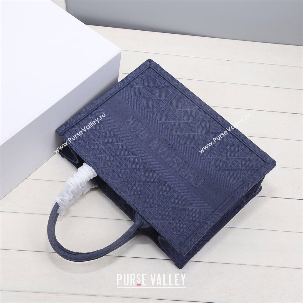 Dior Small Book Tote Bag in Blue Cannage Embroidery 2020 (XXG-20112629)